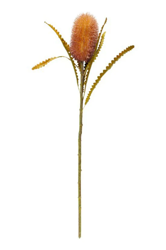 Banksia 58cm Brown-Pink