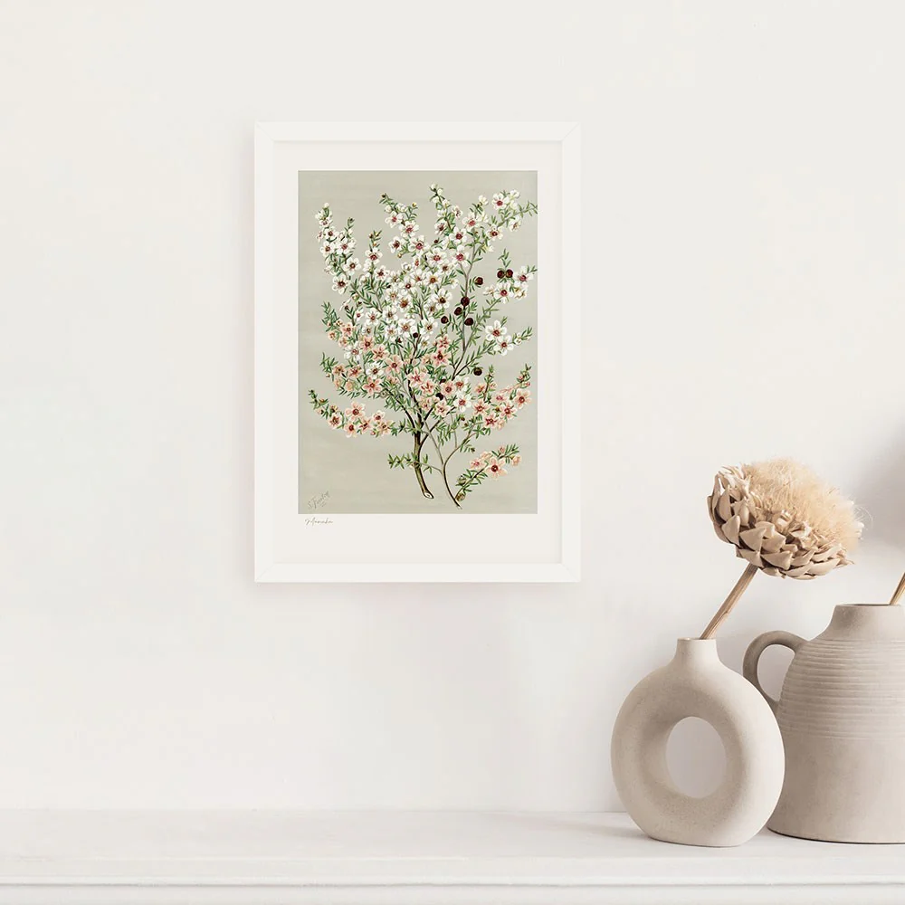 Botanical Illustration Manuka A3 Print - Image 2