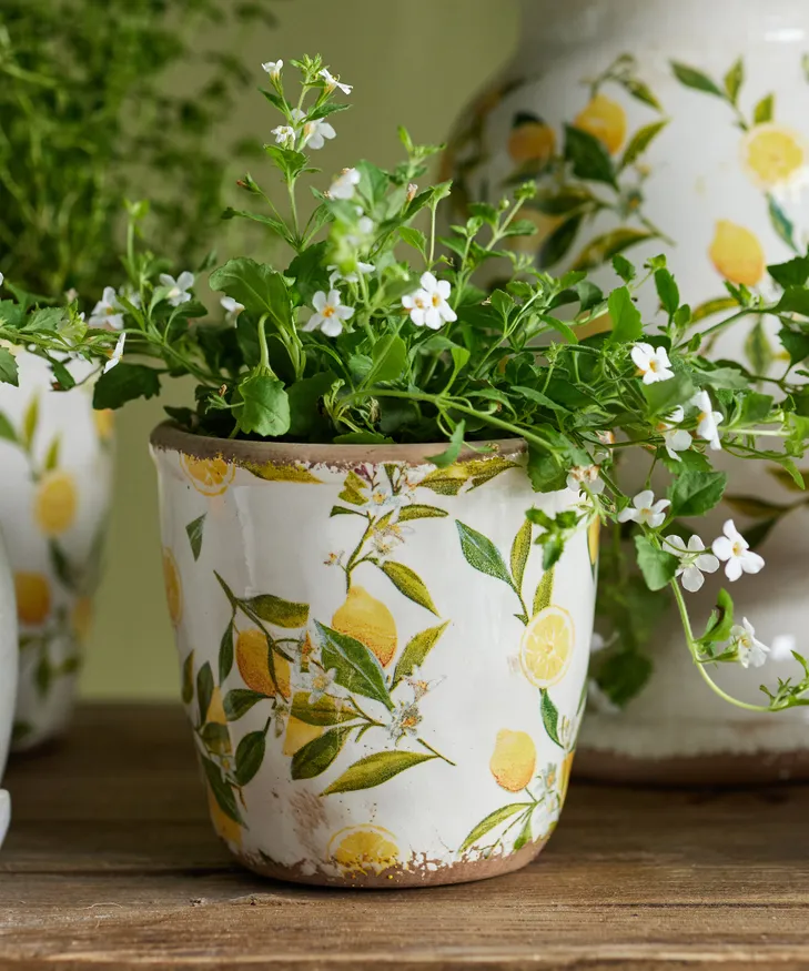 Botanical Lemon Pot Small - Image 2