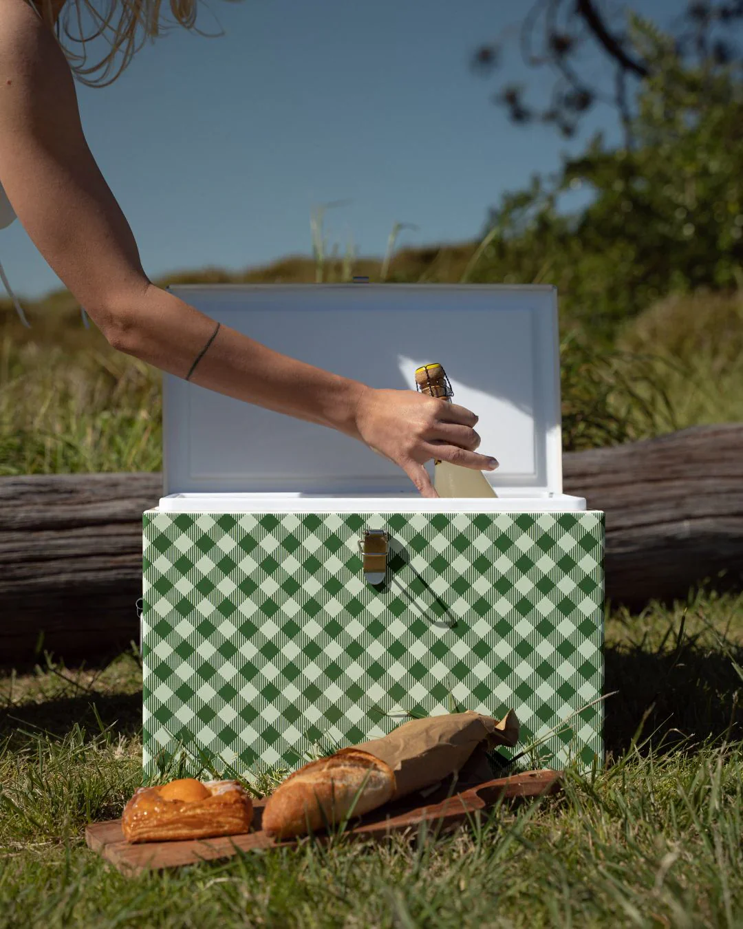 Chilly Bin - Avocado Gingham - Image 3