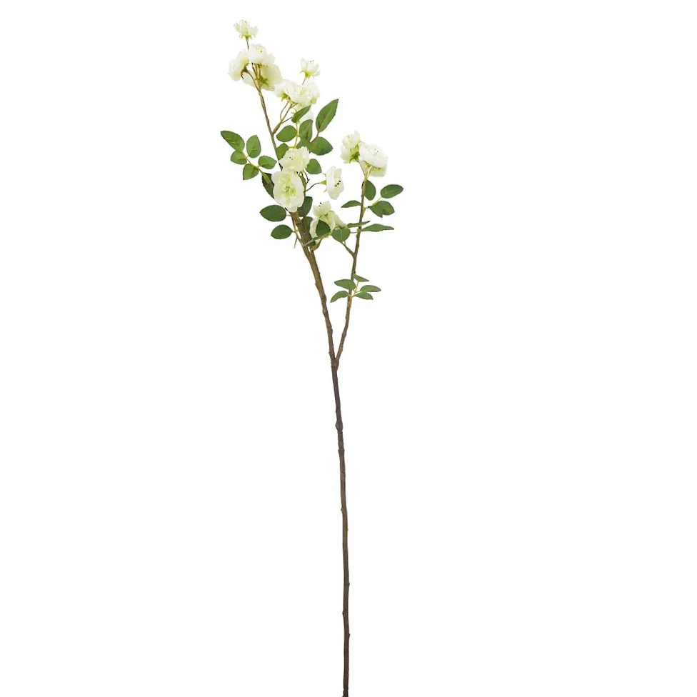 Cream Rambling Rose Spray