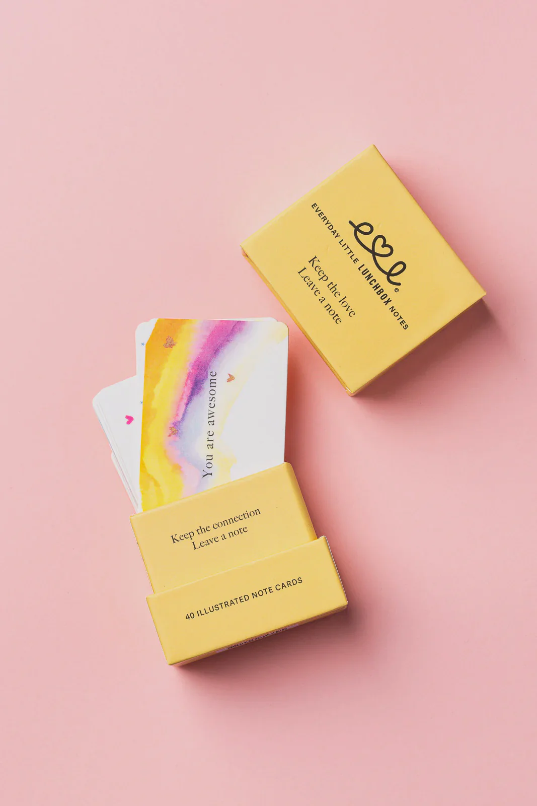 Everyday Little Lunchbox Notes