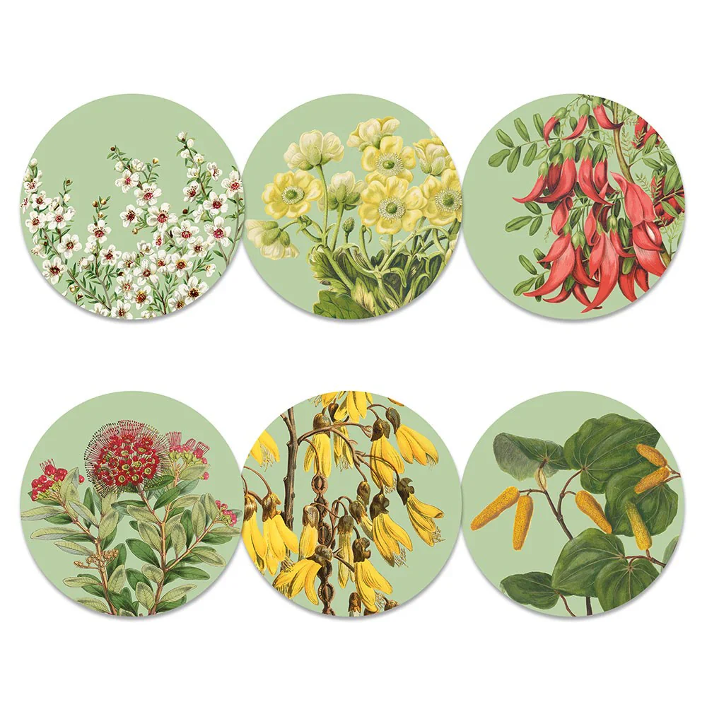NZ Native Botanical Placemats Box of 6 - Image 3