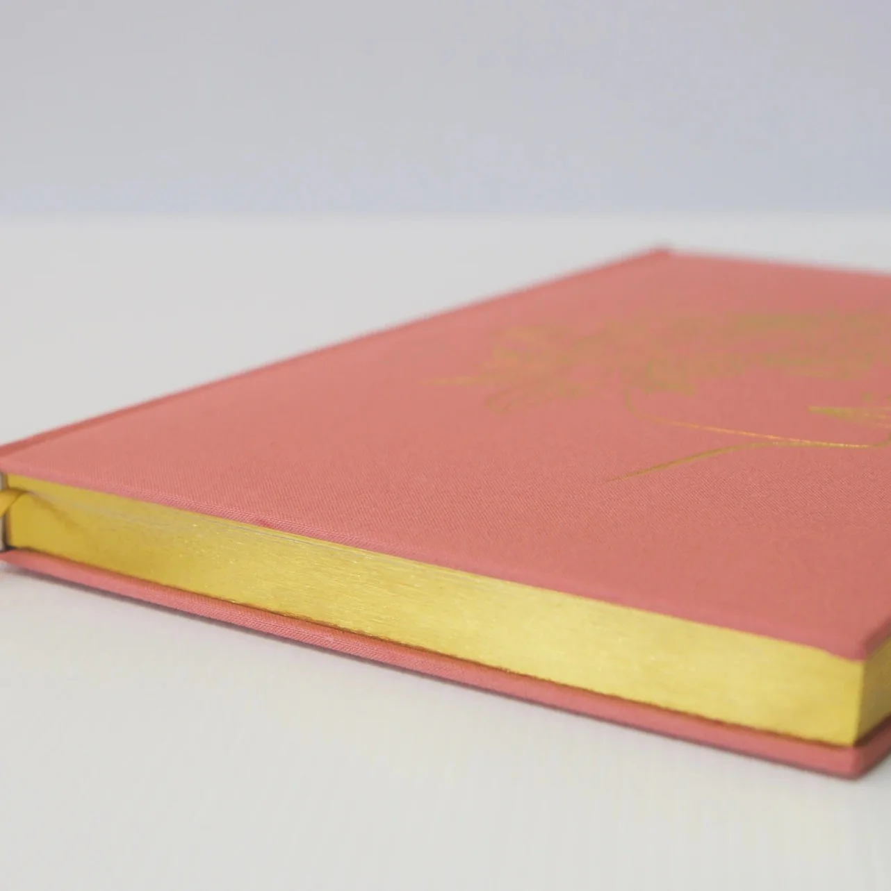 The Joy Journal - Blush - Image 3