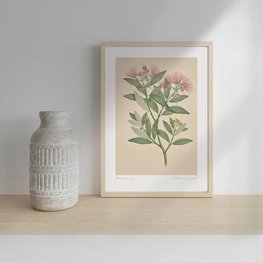 Vintage Botanical Pohutukawa A3 Print - Image 3