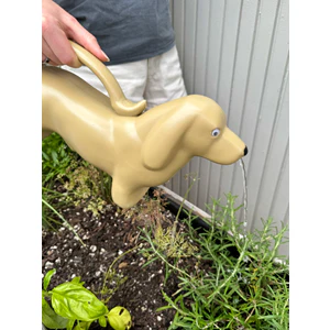 Watering Can Dachshund - Image 3